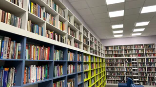 Мультфильмы классического "Диснея" покажет областная библиотека в Вологде