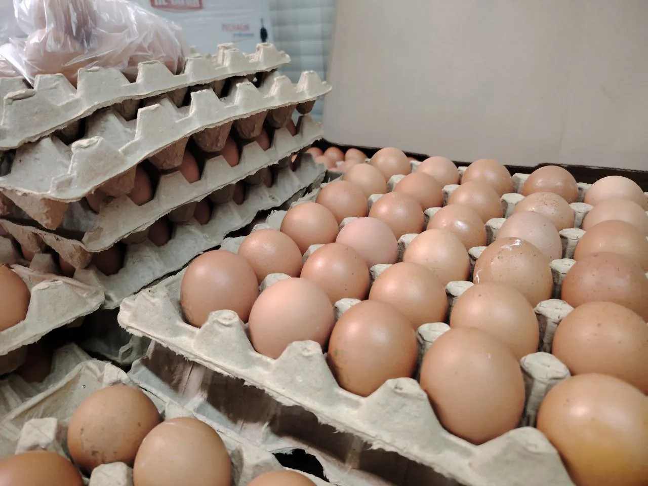 Хитрые продавцы выбирают яйца только так: запоминайте 2 лайфхака
