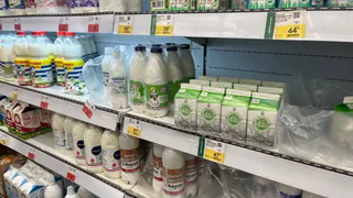 Более 8% молочной продукции в Вологодской области не соответствует стандартам качества