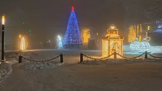 Первозимье. Долгосрочный прогноз погоды на декабрь 2025 года