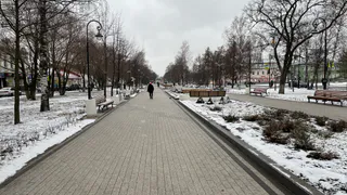 Погода в Вологодской области на 22 марта: от ночных морозов до дневной оттепели
