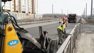 «Зеленстрой» возвращается: уборка Вологды возобновится 1 августа