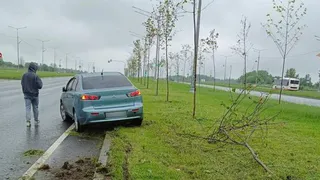  Водитель, сбивший молодые клены на Вологодчине, будет лишен прав