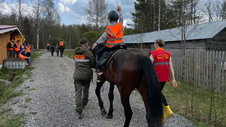 В Вологодской области детей реабилитируют с помощью лошадей