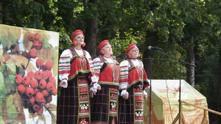 11 привычек немцев, которые будут выводить из себя любого русского