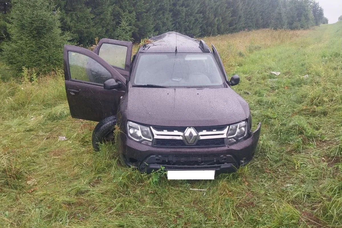 Два пассажира пострадали в Вологодской области в вылетевшей в кювет иномарке