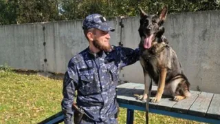 Пропавшую школьницу искали с собакой