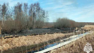 Под Вологдой выгорели более 300 гектаров травы