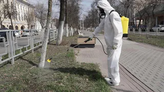 В Вологде обработали от клещей свыше 700 гектаров парков и скверов