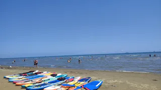 Уже ничего не помогает: отдыхающие в Геленджике и Анапе массово жалуются на новую беду