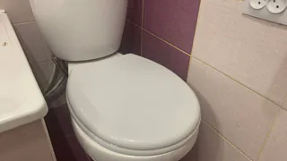 Почему нельзя оставлять открытой крышку унитаза. Запомните раз и навсегда