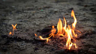 В Вологодской области за прошедшие сутки ликвидировали 7 возгораний