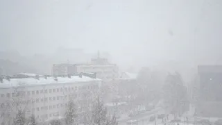 Прогноз погоды на лето: обновлённые данные синоптиков