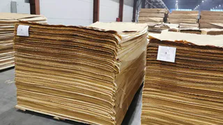 Вологодский шпон покоряет новые страны: экспорт вырос на 17%