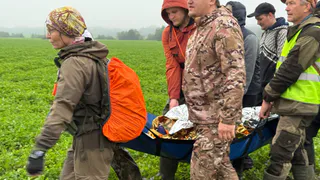 Пропавшую вологжанку нашли в лесу живой после двухдневных поисков
