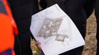 Проект второго этапа благоустройства Осановской рощи начали разрабатывать в Вологде