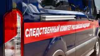 В Вологде перед судом предстанет женщина, напавшая с ножом на пару