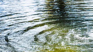В Вологодской области благоустроят места отдыха у водоемов