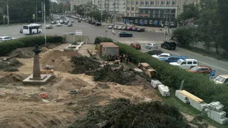 В Вологде у картинной галереи убрали ели, но оставили памятник Ильюшину