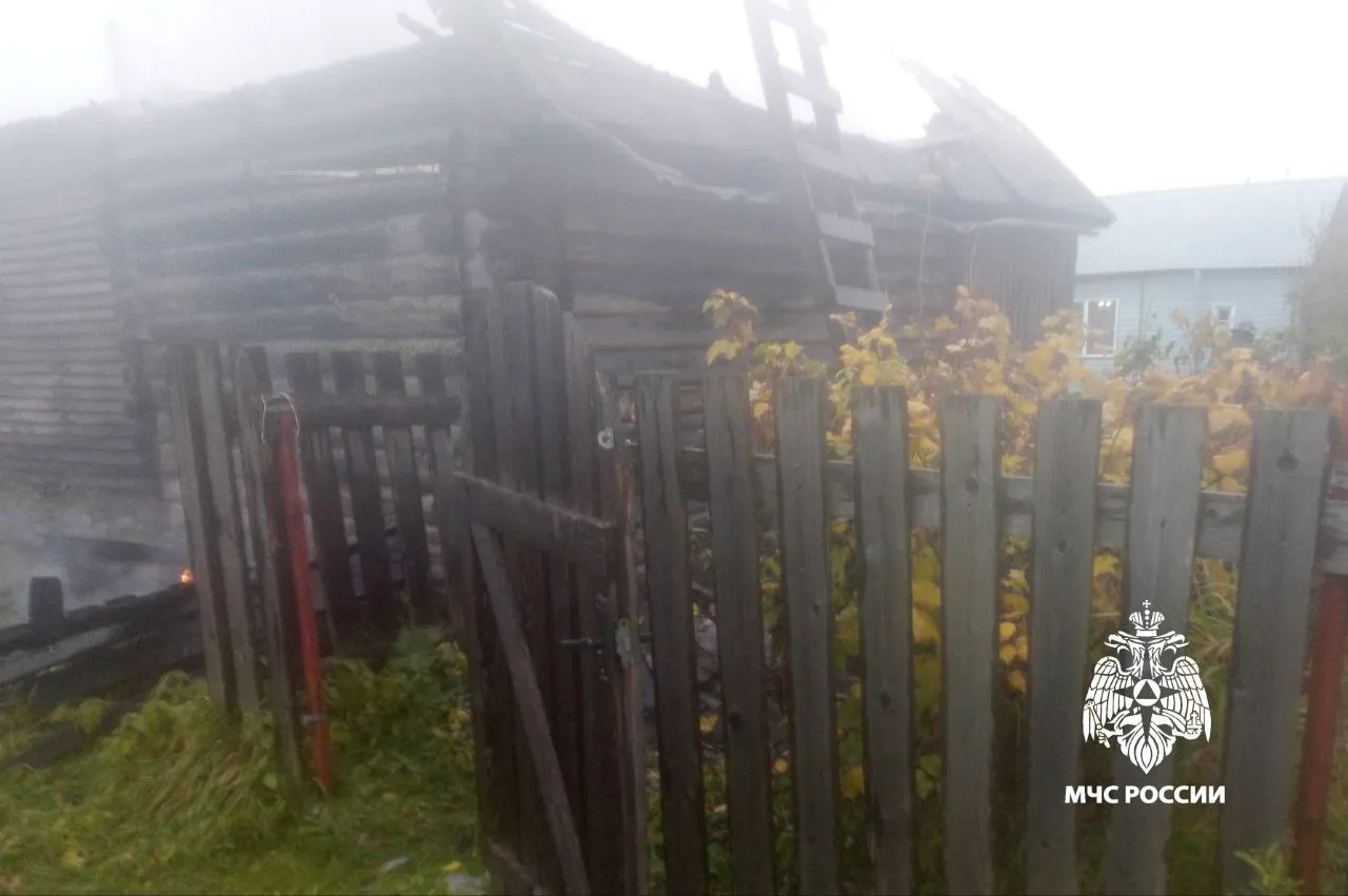 В Вологодской области хозяин бани пострадал, пытаясь укротить пламя