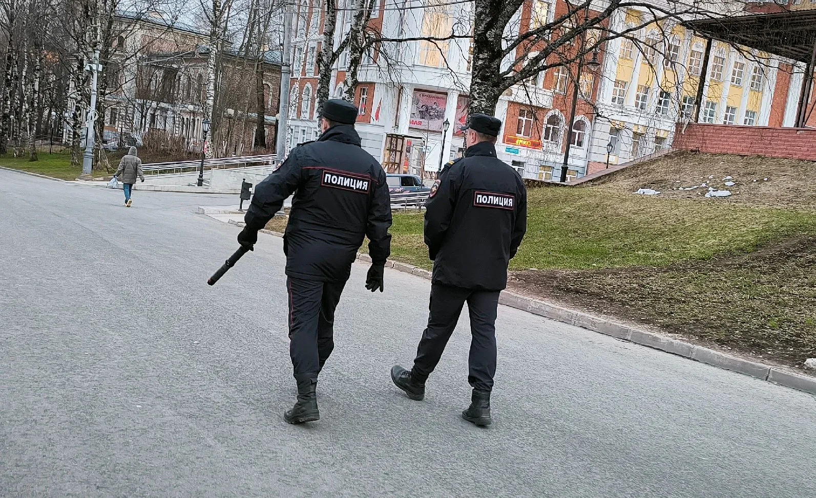 В Вологодской области полицейские задержали рецидивиста за мошенничество со снегоходом