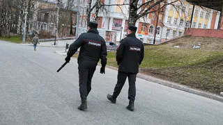 В Вологодской области полицейские задержали рецидивиста за мошенничество со снегоходом