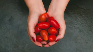 Помидоры по-корейский самый вкусный рецепт: томаты на зиму пальчики оближешь - супер закуска