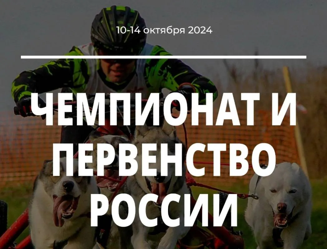 На Вологодчине проводят чемпионат и первенство России по ездовому спорту