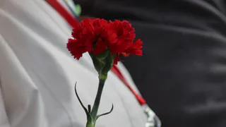 Вологду украсили цветы памяти и шлем солдата