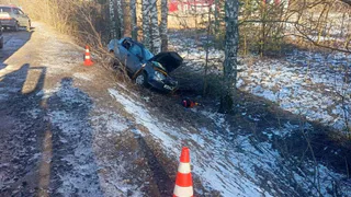 В Вологодской области погиб водитель вылетевшего в кювет автомобиля 