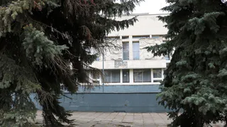 Ели у Вологодского театра драмы хотят вырубить в рамках благоустройства