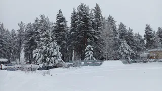 Мороз до -27 градусов и небольшой снегопад: погода в Вологодской области на 15 февраля