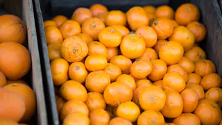 Хитрые продавцы выбирают мандарины себе домой только так: запоминайте 3 лайфхака