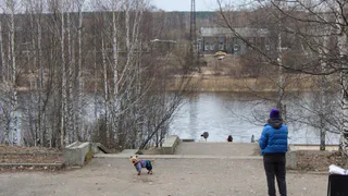 Циклон принесет в Вологодскую область дожди и тепло до +19 °C