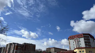 Прогноз погоды в Вологодской области на 15 мая: грозы, дожди и порывистый ветер