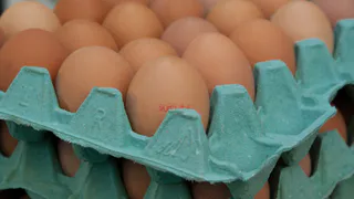 Обходят за версту: почему работники магазинов и птицефабрик не покупают яйца категории С0 - даже по акции