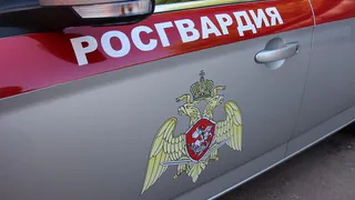 Жительницу Вологодской области задержали за пьяный дебош в ночном баре