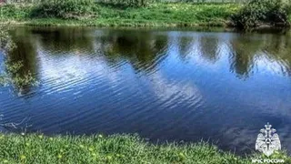 Трагедия в Вологодском округе: тело пожилой женщины обнаружено в реке Тошня