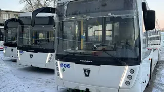 Шесть новых автобусов выйдут на маршруты в Вологодской области