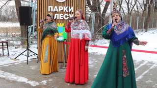 В Вологодской области открылась новая зона отдыха "Парк в лесу"