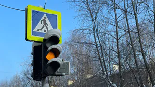 В Вологодской области участились случаи нетрезвого вождения