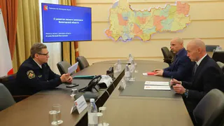 Незаконные рубки в Вологодской области снизились на 57%