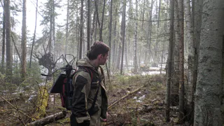 Определены объемы охоты в Вологодской области на 2025-2026 годы