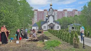 В Вологодской области появилась Аллея ангелов в память об умерших детях