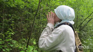 Вологодские леса таят опасность: число заблудившихся грибников и ягодников растет