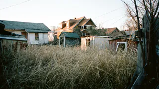 Названо самое полезное растение на огороде: это не ягода и не овощ