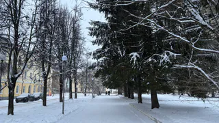 Погода Вологодской области: в регионе ожидается понижение температуры