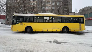 В Вологодской области автобус сбил женщину на пешеходном переходе