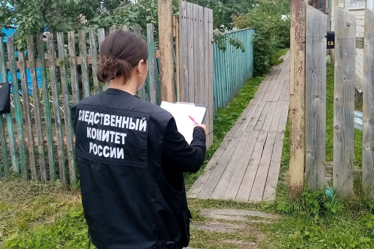 Стали известны подробности жестокого убийства вологжанки ее сыном