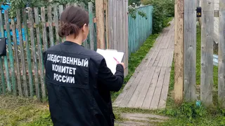 Стали известны подробности жестокого убийства вологжанки ее сыном